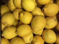 image 1139bb42f7c2da912972b8cdc8cc1045b171f38b.jpg