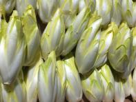 image 2825ed9f352813cb71eb924190386d7bf3329794.jpg