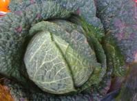 image 3b8a3c09123ce9edcb6c4a849ffcb860a2e84053.jpg