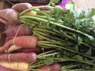 image 6b6913b8ccedf80ba2440ca6b81b2ab7e1fecbb4.jpg