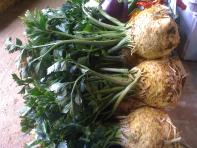 image 6cabee92c035fc21935405944e2d7f56b7d3441e.jpg