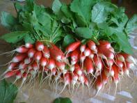 image e8c6b7fc79f7adb58e13351aed1251e7e85e25b7.jpg